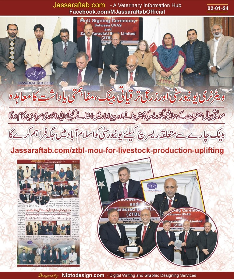 JassarAftab's tweet photo. لائیوسٹاک فارمرز کی بہتری کیلئے زرعی ترقیاتی بنک کے ساتھ ویٹرنری یونیورسٹی کا مفاہمتی یاداشت کا معاہدہ
https://t.co/eXsDYoI8ct
ZTBL to uplift livestock farmers in collaboration with UVAS
@ztbl_official https://t.co/44mMauRrJ4