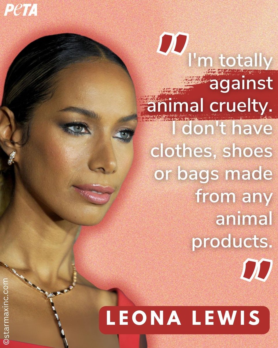 PETA UK tweet media