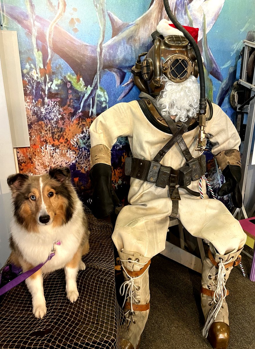 Our first furry visitor of 2024! Thank you Archie and his family for coming in to see the Museum. He was a very photogenic boy. We hope to see more of you this year, as the History of Diving Museum is 100% pet-friendly 🐶🐈‍⬛🐾🤿