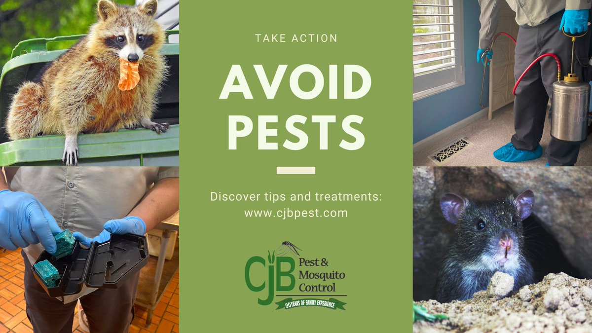 Avoid the unwanted intruders! Head to our website for pest facts, tips, and treatments!
 
cjbpest.com

#pestcontrol #tuesdayvide #NewYear2024 #tuesdayfeeling