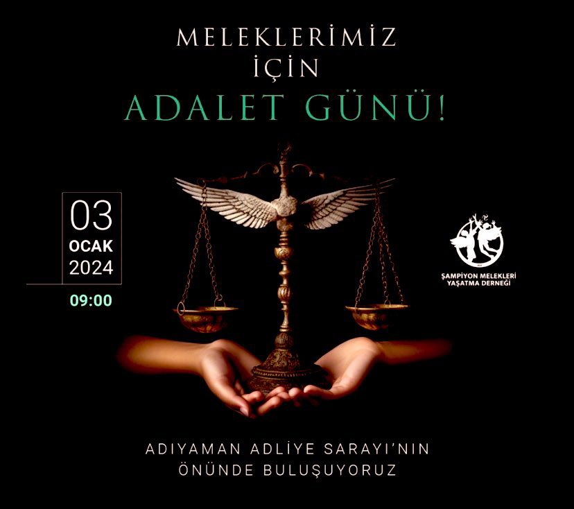 Hade KKTC!
İlk günlerdeki gibi!
Son 3 gece daha!
Hep birlikte duyuralım sesimizi!
#isiasolasıkast
#isiasortakdavamız