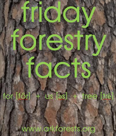 AR Forestry Assn. tweet media