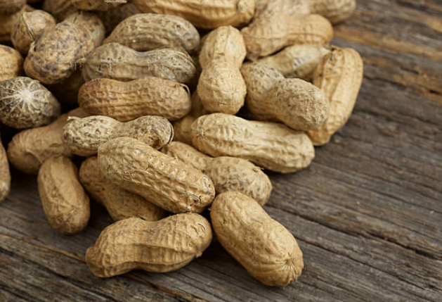 No_Silance's tweet photo. Embracing the winter chill with a cozy peanut munching session! ❄️🥜 Who's in for a chilly snack adventure? #WinterBites #PeanutJoy Join me for some peanut munching! 🥜 #SnackTime #PeanutParty #SnackTime #PeanutParty https://t.co/LQzEoPPb2Q