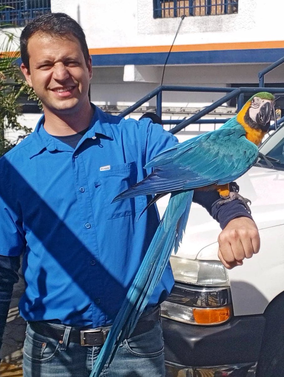 Elías Sayegh tweet media