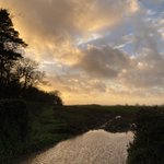 Photo by Dave Shuttleworth (@ShuttleworthDS)
