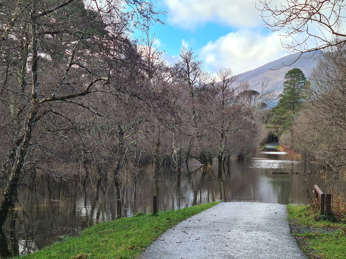 Jessica Hamilton tweet media