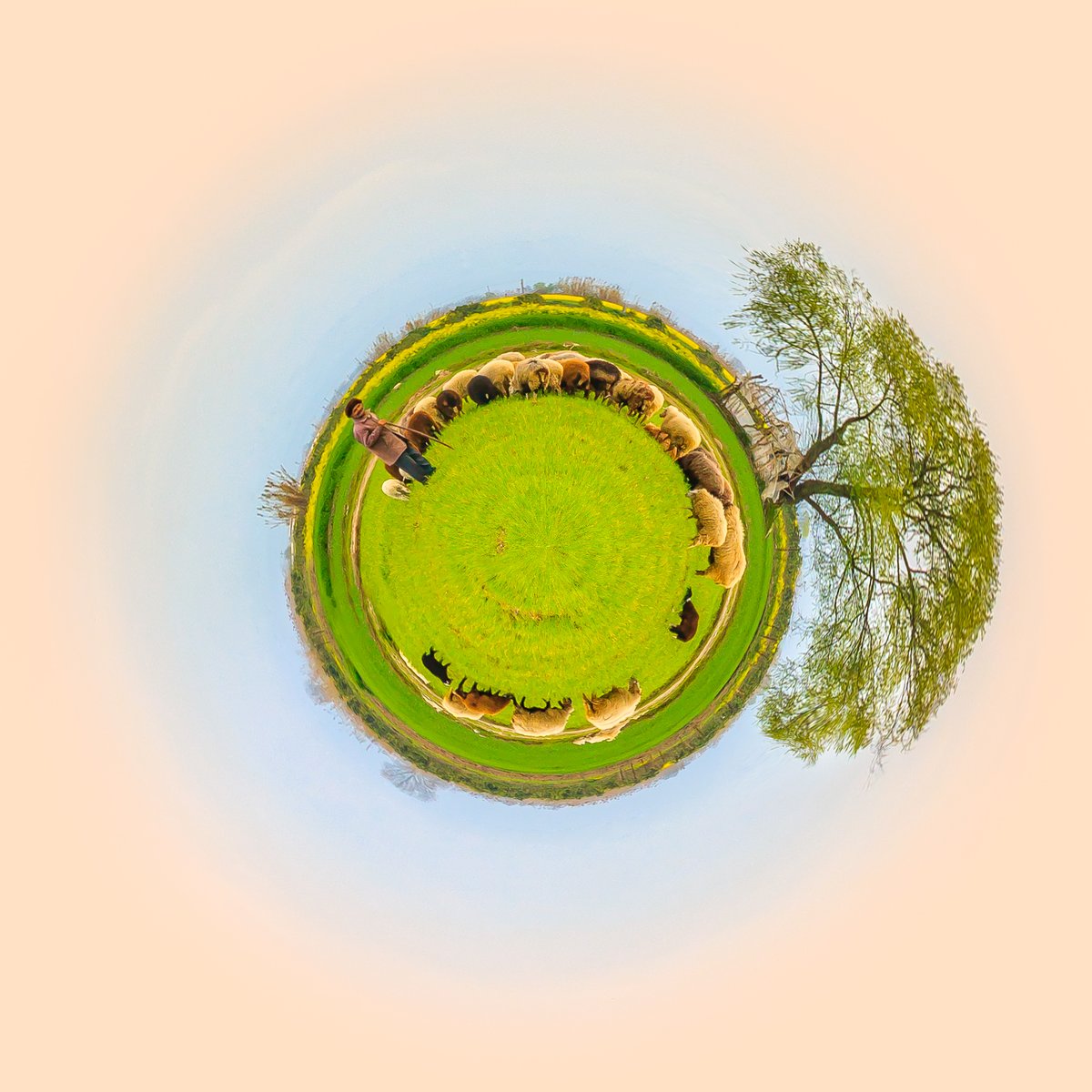 MATT arts tweet media