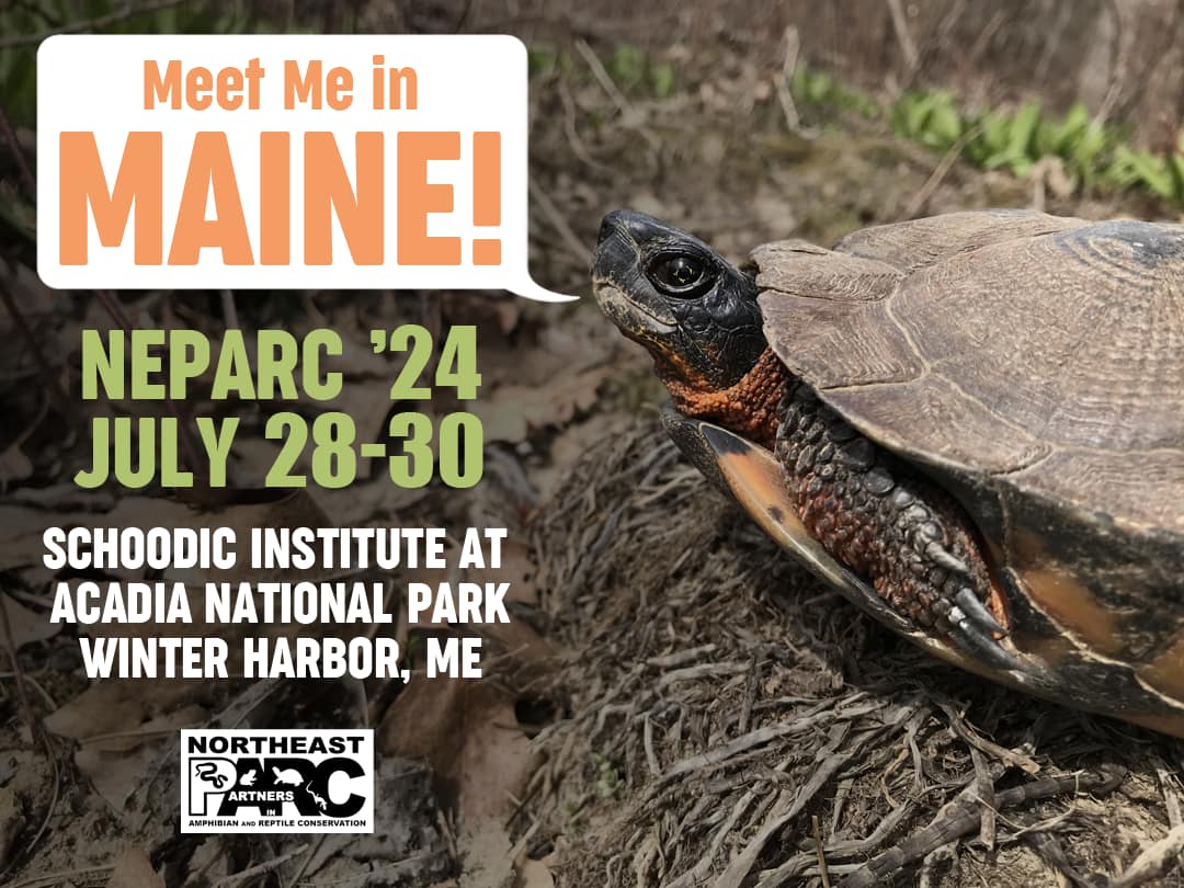 We’re excited to announce that NEPARC’s 2024 annual meeting will be held at the Schoodic Institute at Acadia National Park in Winter Harbor, Maine from July 28-30.

More details to come. We look forward to seeing you in ME and learning about all the great herp work in our region.