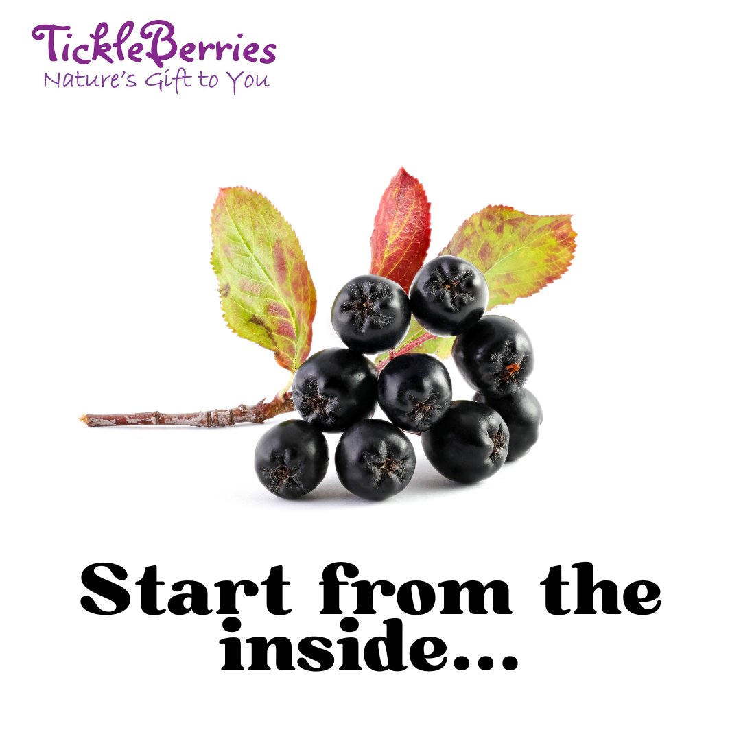 As we learn about #guthealth our #aroniaberries can play a role with the nutrients they supply.
Start from the inside when making positive changes with a daily shot of Tickleberries 100% Pure Aronia Juice; grown, juiced and bottled here in Kent, England.
aroniaberriesuk.co.uk
