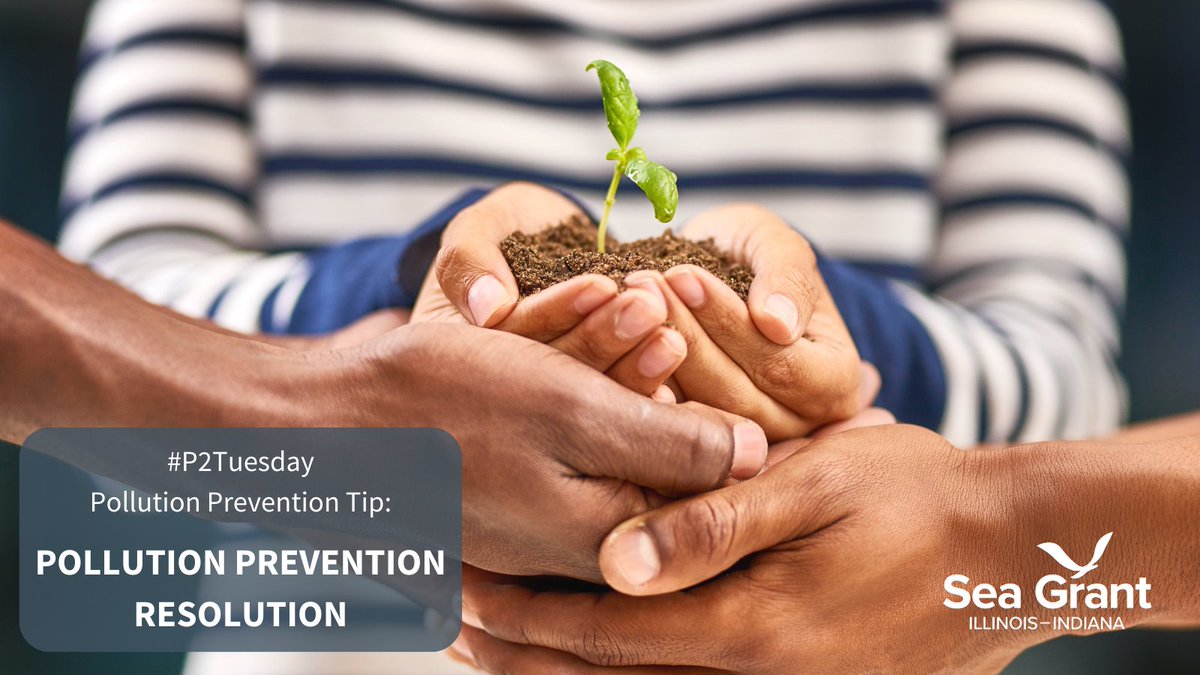 GreatLakesP2's tweet image. Dive into the new year with a commitment to a cleaner and more resilient planet!

Start Small - Small actions can lead to significant change.

Try incorporating one or more of these actions into your new year.

#P2Tuesday #pollutionprevention #resolution