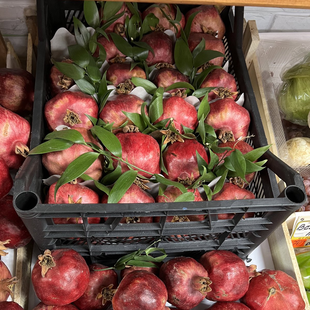 воровка туалетной бумаги tweet media