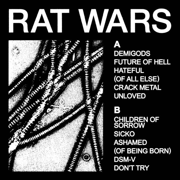 Now Playing. Health - Rat Wars One of my favorite records of 2023 that I keep going back to. If you're a fan of something that sounds industrial, electronic or heavy. Give this a listen.