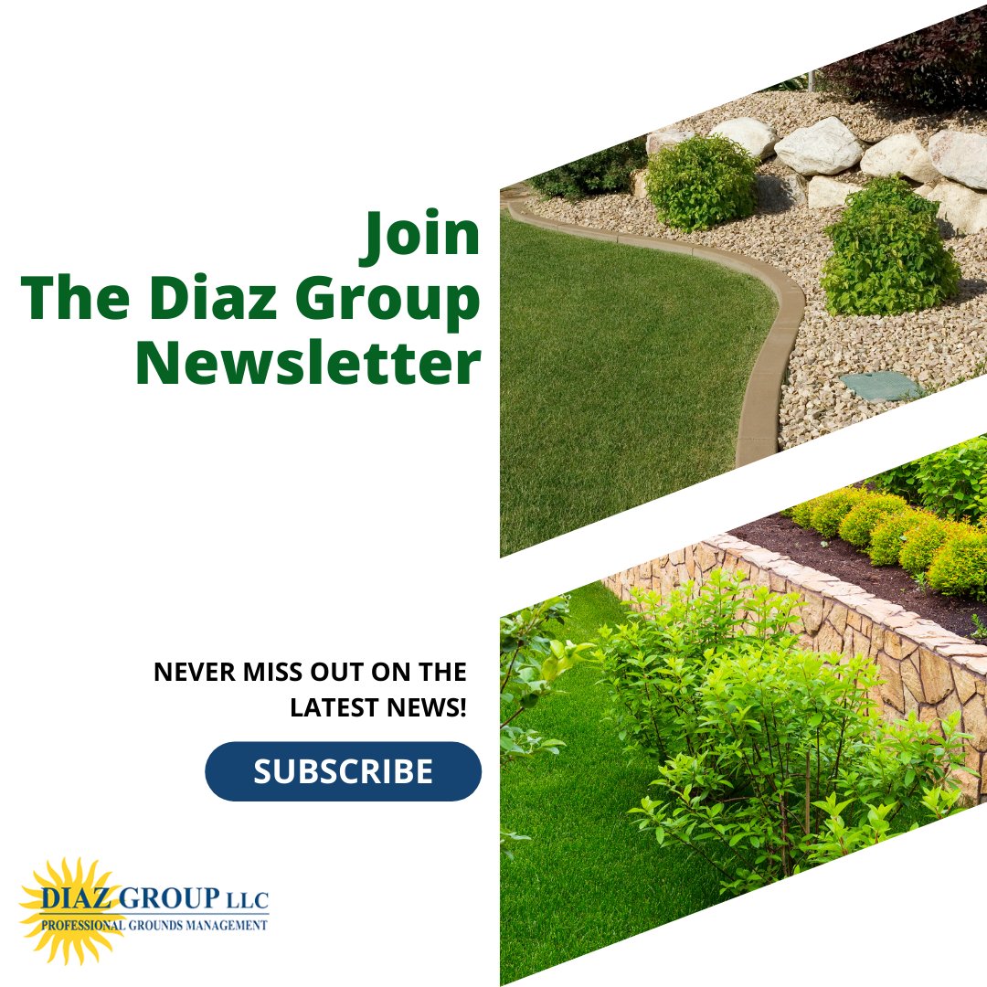 diazgroupllc's tweet photo. Never miss out on the latest news at The Diaz Group!  🌱 🌳 🍂 
Join today! Link below and in our bio!

Subscribe here: https://t.co/ZQJWRMLzCf

#commericallandscaping
#commericalsnowremoval
#facilitymanagement https://t.co/L9QlQ2sihs