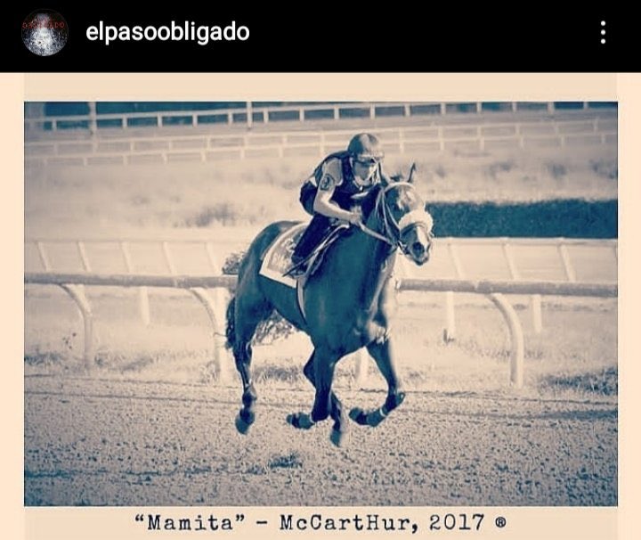 El Paso Obligado (@ElPasoObligado) / Posts / X