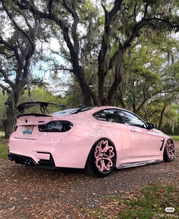 need these pink car with heart-shaped rims