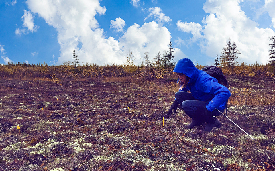 earthwatch_org's tweet photo. Meet Kaitlyn Trudeau. After her Earthwatch expedition to Churchill, Canada, the world's polar bear capital, Kaitlyn Trudeau was inspired to pursue a career in climate science. 

Check out Kaitlyn's story about the transformative power of hands-on science: https://t.co/9Wqcso9FnI https://t.co/QebOnRi9rd