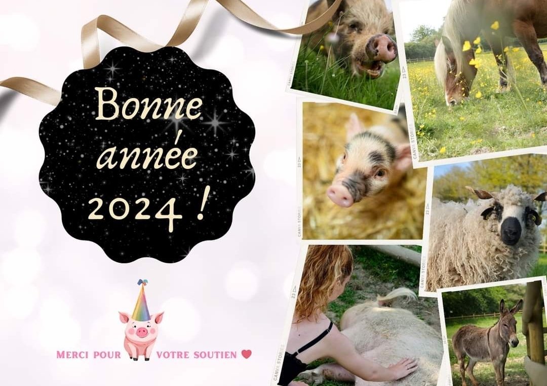 Refuge GroinGroin&Co 🐷 tweet media