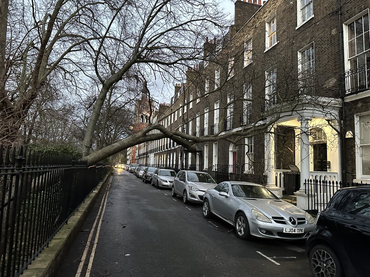 URGENT - @IslingtonBC - tree down blocking Compton Terrace, at no 5.