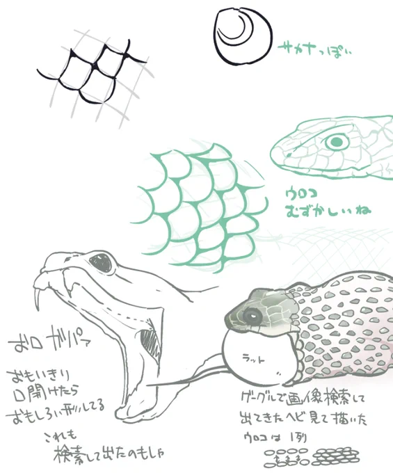 skebの合間に画像検索して出てきたヘビを見ながら描いてみるなど。ウロコ難しい