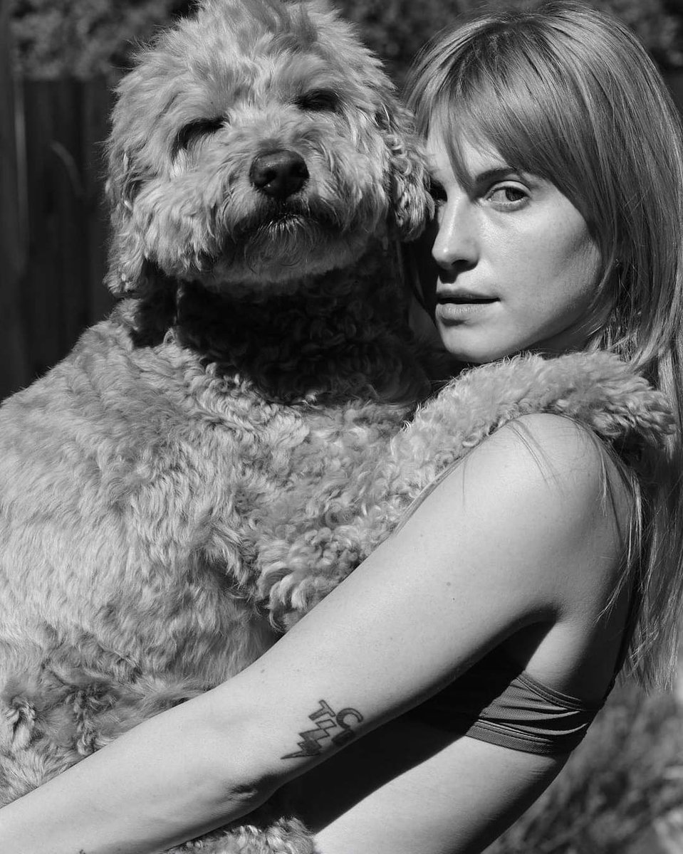 𝑺𝒐𝒇𝒊 tweet media