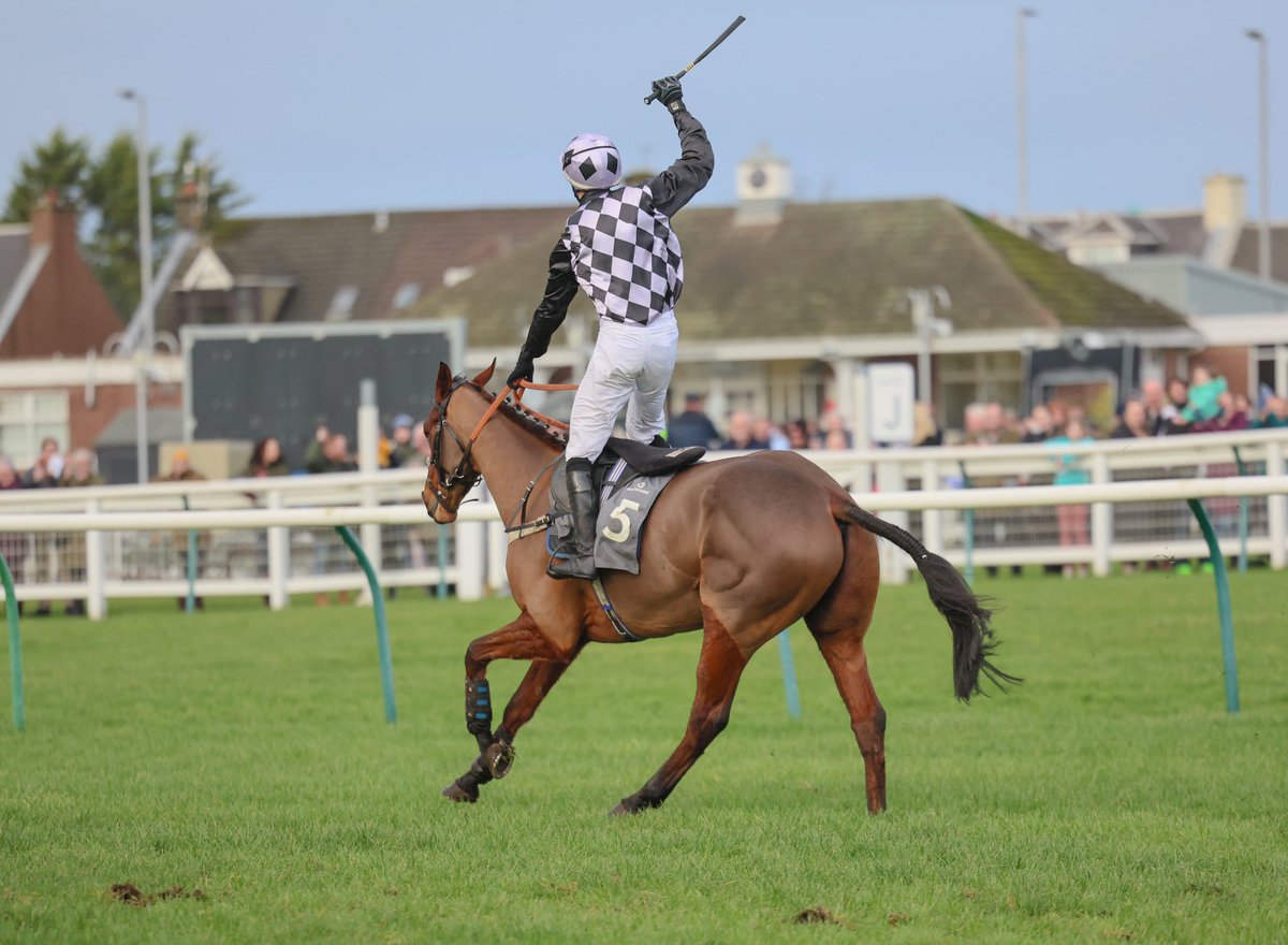 Northern Area Point to Point tweet media