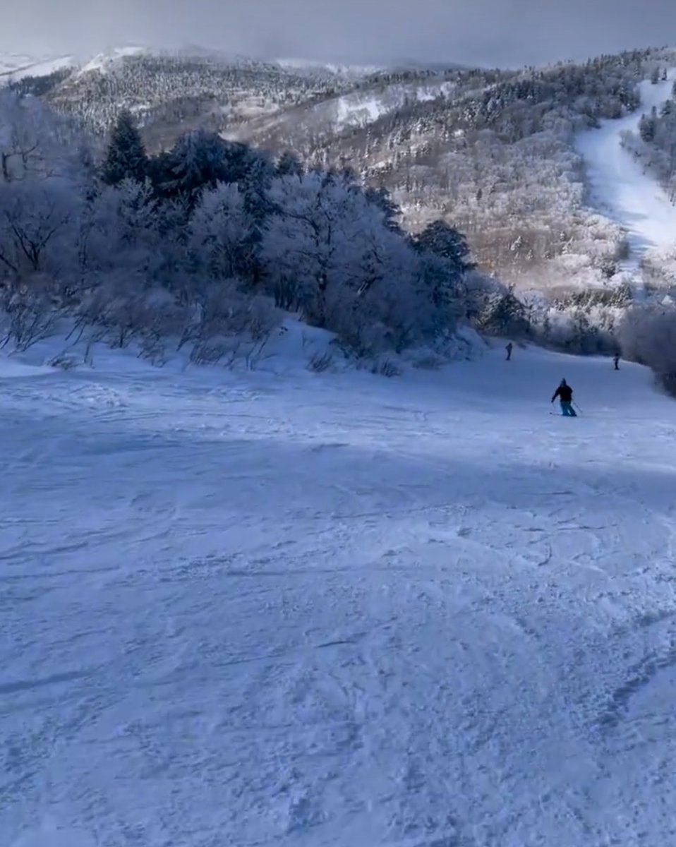 seagreen79's tweet photo. Snow World 2024.

明日から仕事です。
早起きできますように。 https://t.co/2IQOmXZDwT