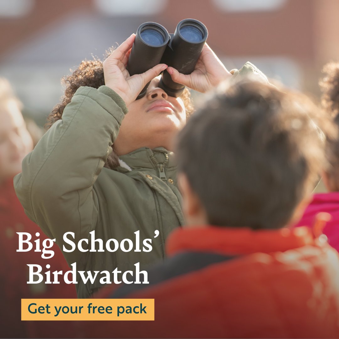 Teachers, there is still time for your class to be a part of the biggest wildlife survey for schools. Together, let's make it count! Get your free pack here: bit.ly/BigSchoolsBird… 
#bigschoolsbirdwatch #outdoorlearning #wildchallenge #teachertwitter