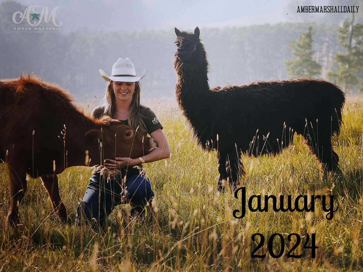 Happy New Year! 🎉🥂
New year, new <a href="/Amber_Marshall/">Amber Marshall</a> calendar!
The January photo features Betty the alpaca or as Amber affectionately called her, "Nanny Betty" as she always kept an eye on and protected the new calves in the herd.
📸: Shawn Turner