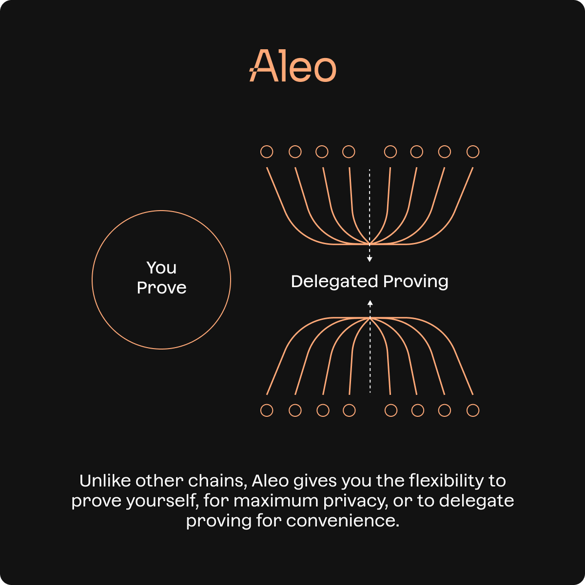 AleoHQ's tweet photo. Aleo unlocks choice for builders. 🔓

Generate zero-knowledge proofs yourself for maximum privacy or leverage providers for convenience.

Innovation requires flexibility. https://t.co/j1Ti8RfqrB