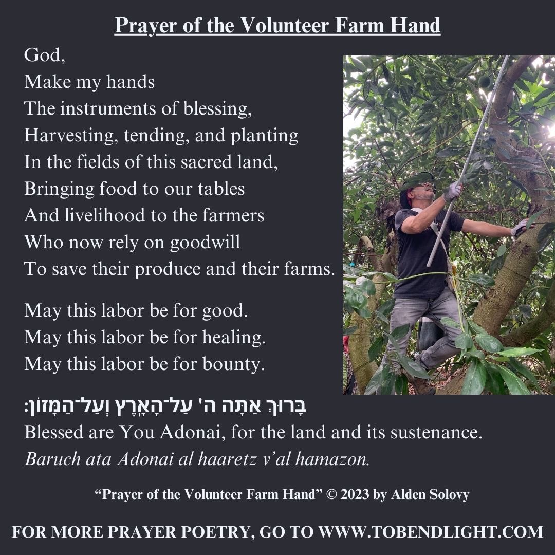 If all goes according to plan, tomorrow I will help harvest red grapefruit. Here I am in an avocado grove... For more prayer poetry, go to tobendlight.com