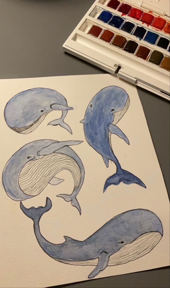whales