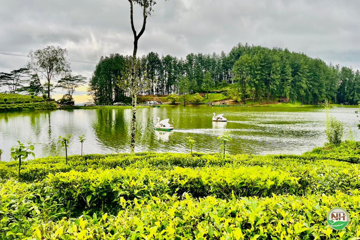 Sembuwatta Lake in Sri Lanka
Sembuwatta Lake is a tourist attraction situated at Elkaduwa in the Matale District of Sri Lanka Sembuwatta Lake is a natural spring water.

#nature #beautiful #beauty #lake #SriLanka #natureandhistory