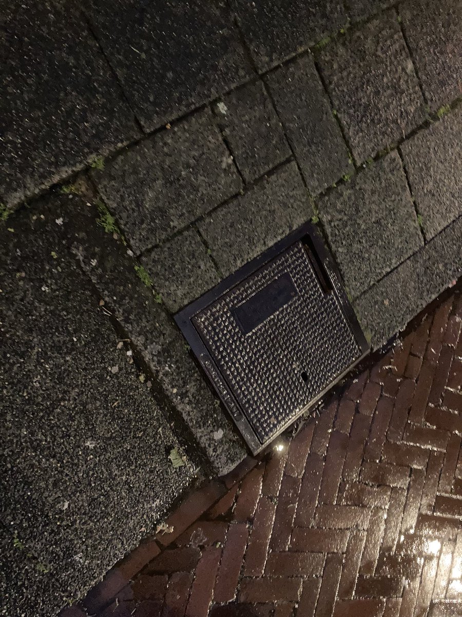 Bram Meijer tweet media