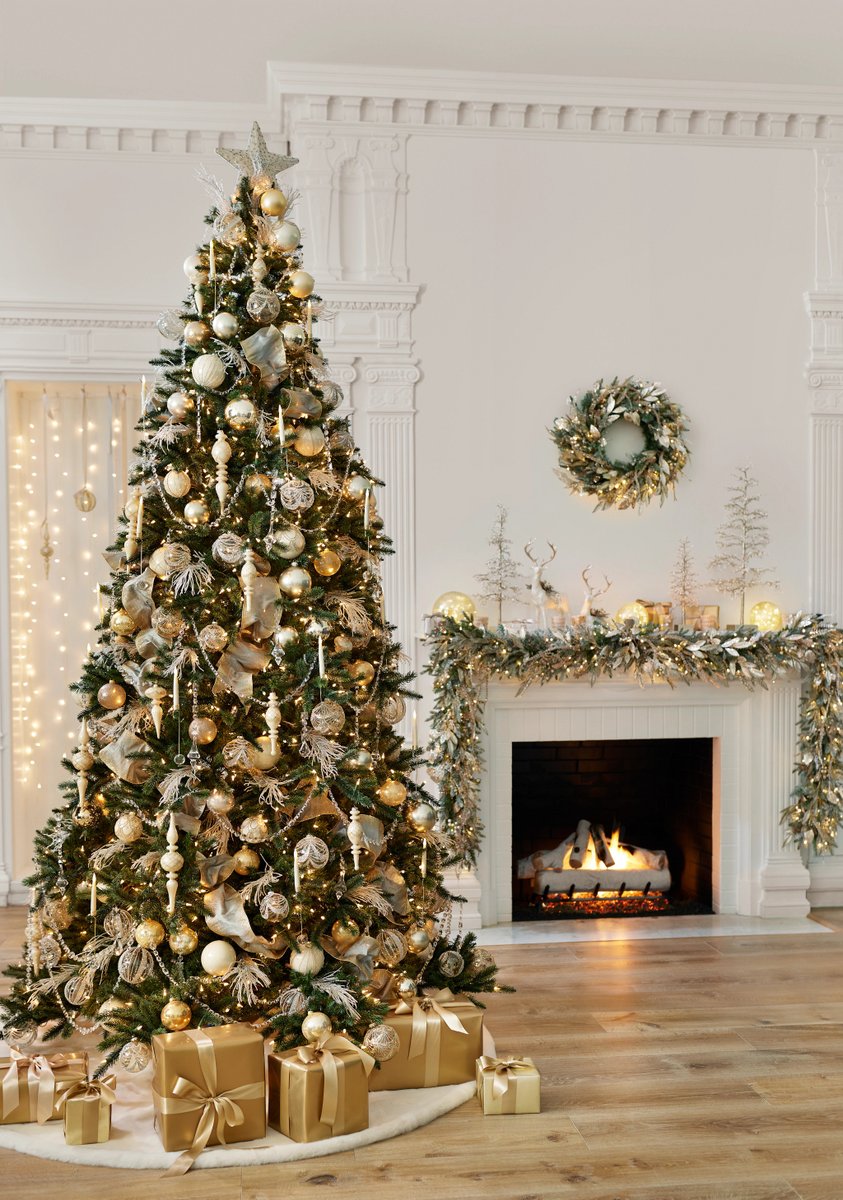 ✨ New year, new deals, new tree ✨ 

Use the code 𝗘𝗫𝗧𝗥𝗔𝗠𝗘𝗥𝗥𝗬 for an extra $50 off orders $300+

bit.ly/41C3HAg