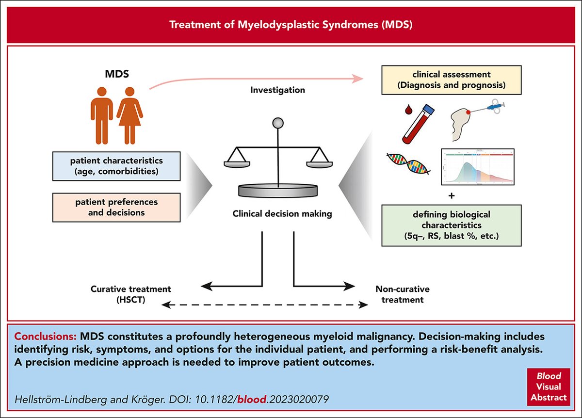 Clinical decision-making and treatment of myelodysplastic syndromes
loom.ly/8BvtqfA #myeloidneoplasia #reviewarticles #reviewseries