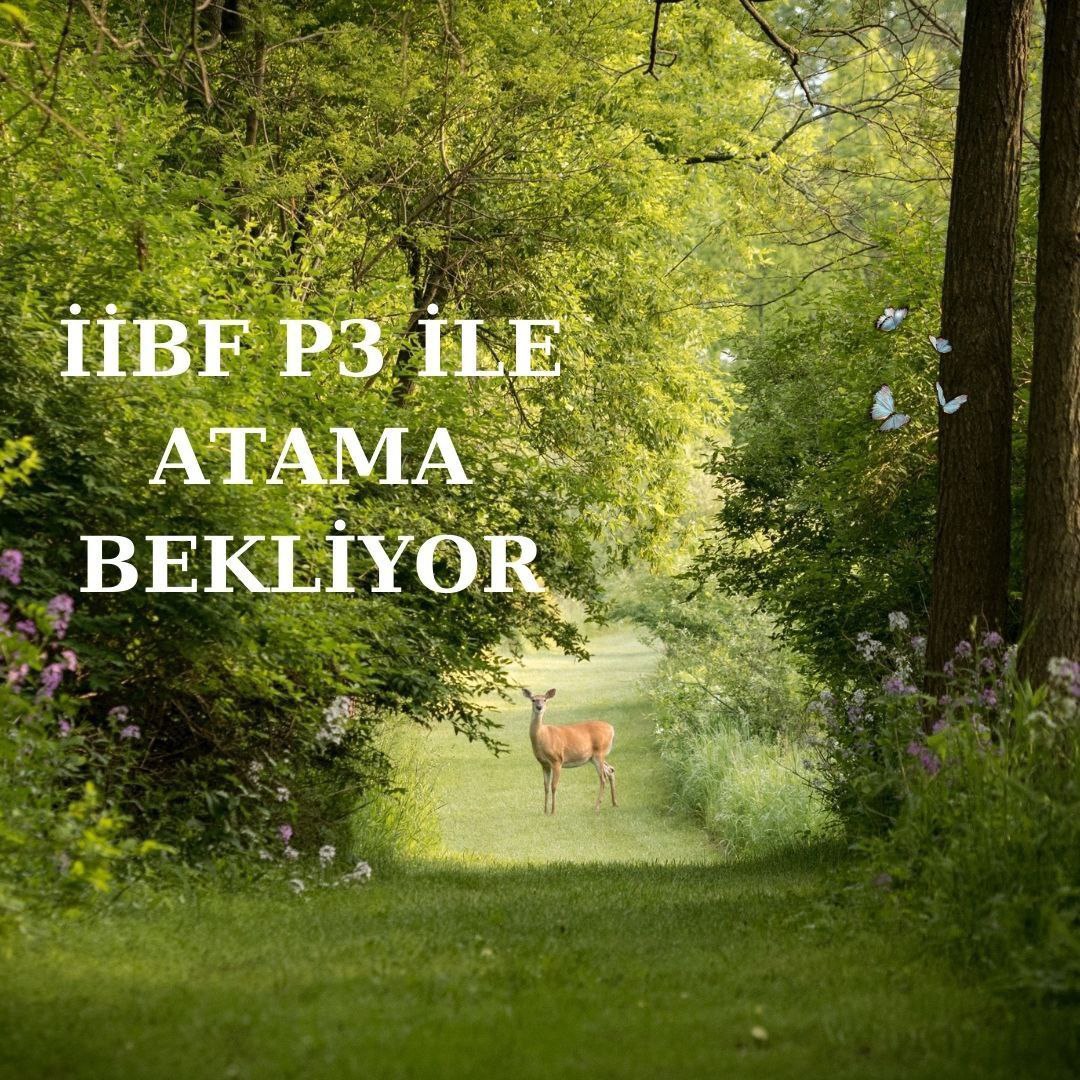 <a href="/iibfbirlik_/">İİBF BİRLİK</a> <a href="/RTErdogan/">Recep Tayyip Erdoğan</a> <a href="/ibrahimyumakli/">İbrahim Yumaklı</a> <a href="/ahmtbgc/">Ahmet Bağcı</a> <a href="/AtaySalim/">Salim Atay, Doç.Dr</a> <a href="/gulmeznese/">Dr. Neşe Gülmez</a> @tccbiko <a href="/TCTarim/">T.C. Tarım ve Orman Bakanlığı</a>