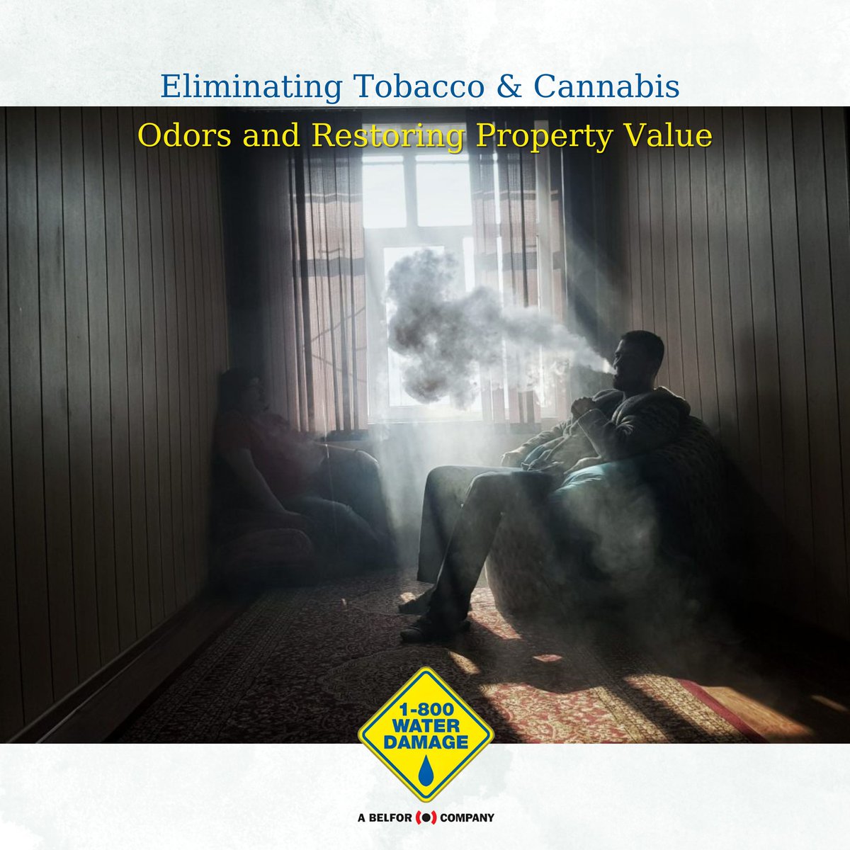 DryingExpert's tweet image. Did you know that tobacco and cannabis odors can negatively impact your property's value and appeal to potential buyers or renters? 

Check out: facebook.com/photo/?fbid=30…