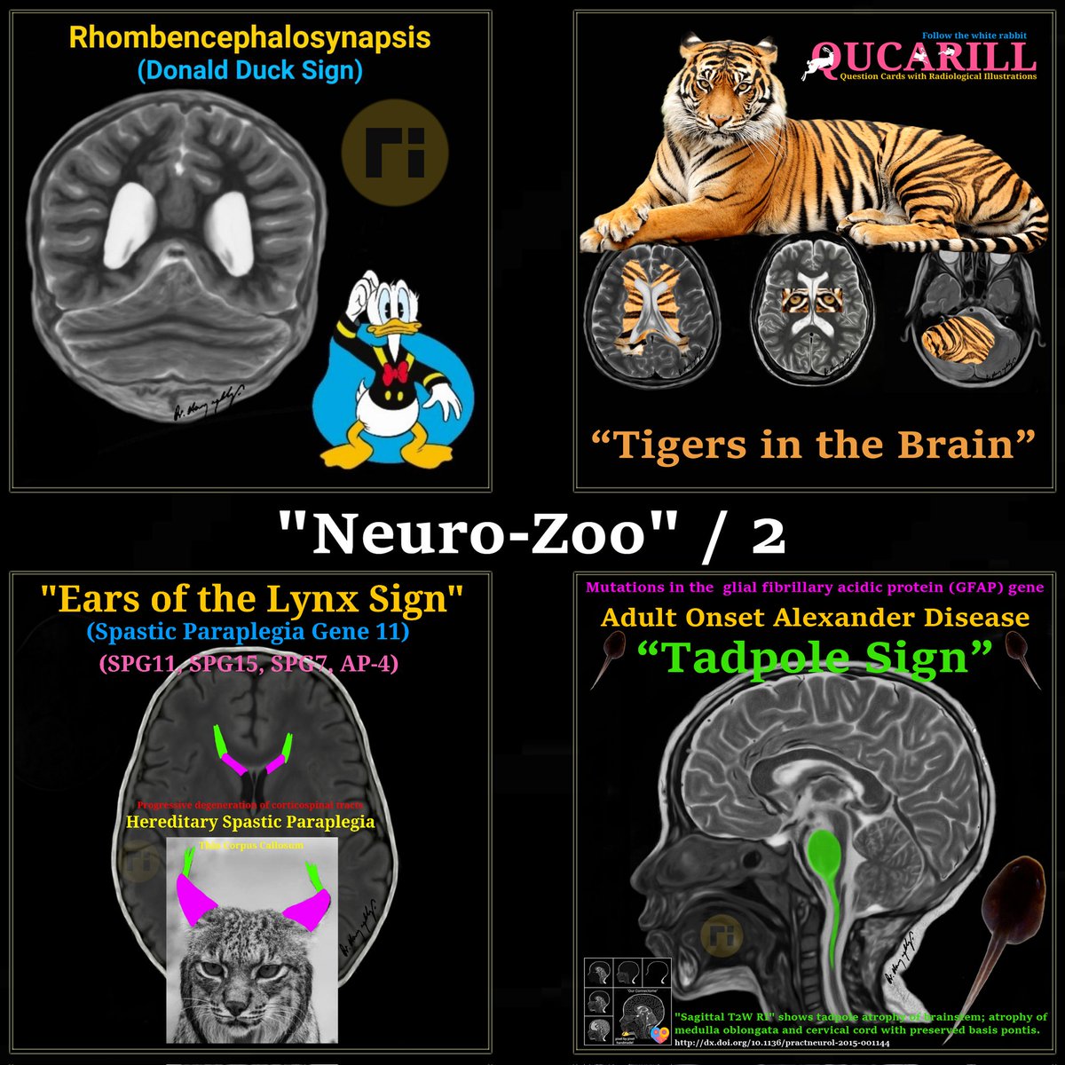 drharunyildiz's tweet photo. "Neuro-Zoo" / 2 🧵 

#radiologicalillustration ✍️
pixel by pixel handmade! 

"Neuro-Zoo" / 1 ⬇️ https://t.co/HHT6NGsx48