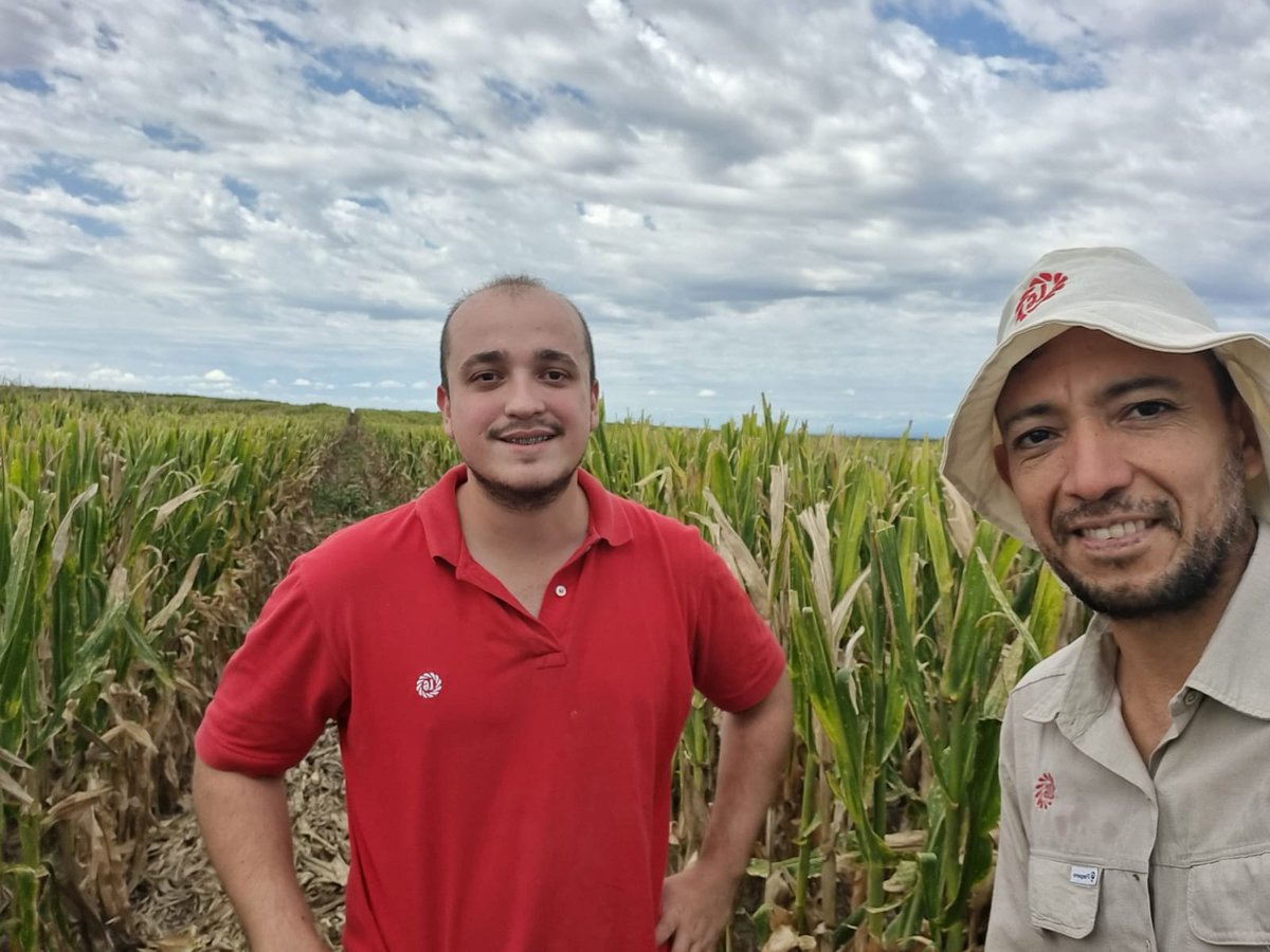 Inicia 2024 con gran esfuerzo y compromiso I&amp;D, comercial y producción <a href="/lgsemillas/">LG SEMILLAS 🌽🌻🌾🌱</a> <a href="/cgssarria/">Cristian Sarria</a> Nico Garcia y Nico Lucero.
Cosecha anticipada #LG36538VIP3 de lote en Catamarca y  llegar con semilla para los ensayos de #DesarrolloLG🇦🇷 <a href="/EslavaSmart/">Ezequiel Eslava</a> 
<a href="/ElPioneroAgro/">El Pionero</a>  <a href="/DiegoAlonso1980/">Diego Alonso</a>