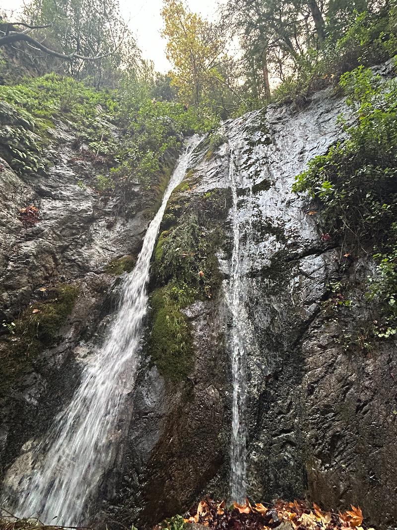 Heather Chamberlin Mellish tweet media