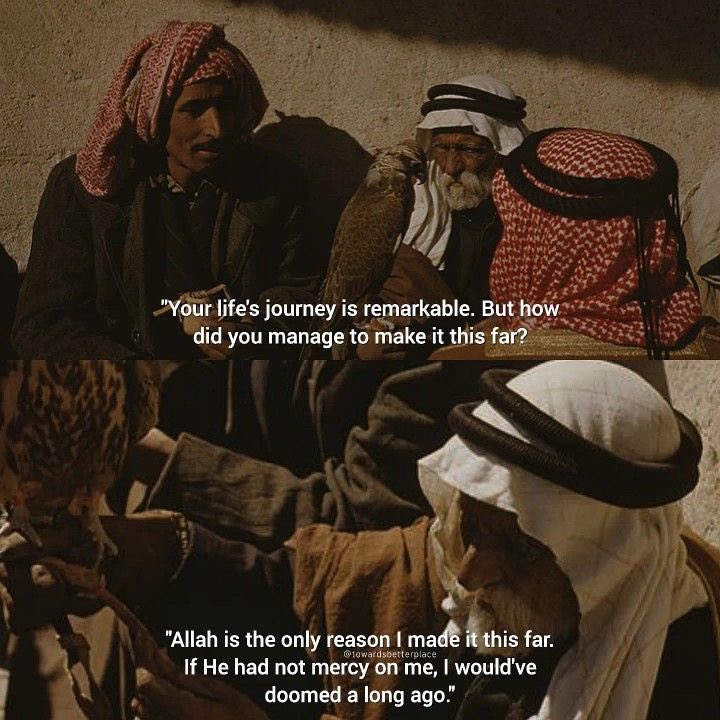 ABroNextDoor's tweet photo. All praise is due to Allah, The Exalted! https://t.co/JoZ5vTk3Ft