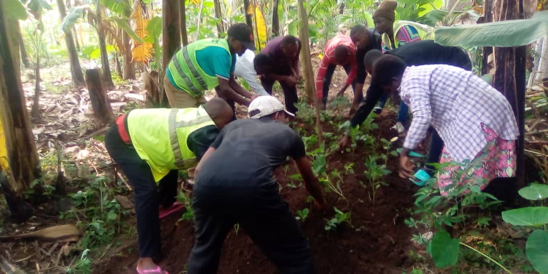 Urubyiruko rwo mu Murenge wa #Tabagwe bakoze umuganda wo kubakira ...
