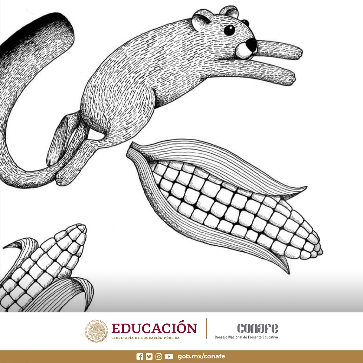 CONAFE_mx's tweet photo. Te invitamos a leer el cuento "Relajo en la cocina". Es la historia de Adelita, una simpática señora de grandes trenzas que usa un mandil de flores rojas. Ella te compartirá versos y las divertidas aventuras de un gato y un ratón. 
#LecturasCONAFE
👇
https://t.co/Zebm5LgKx7 https://t.co/2rWSaemAyK