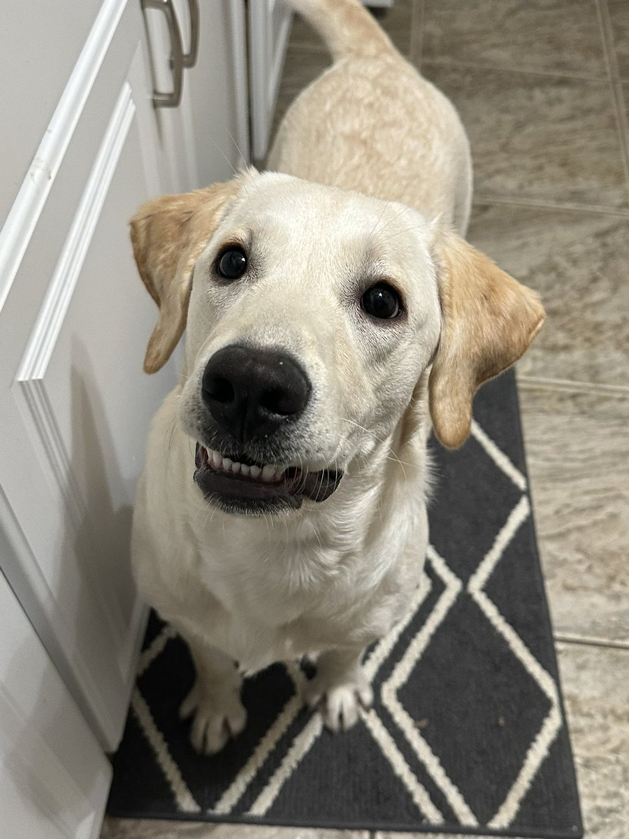 sysengineer tweet media