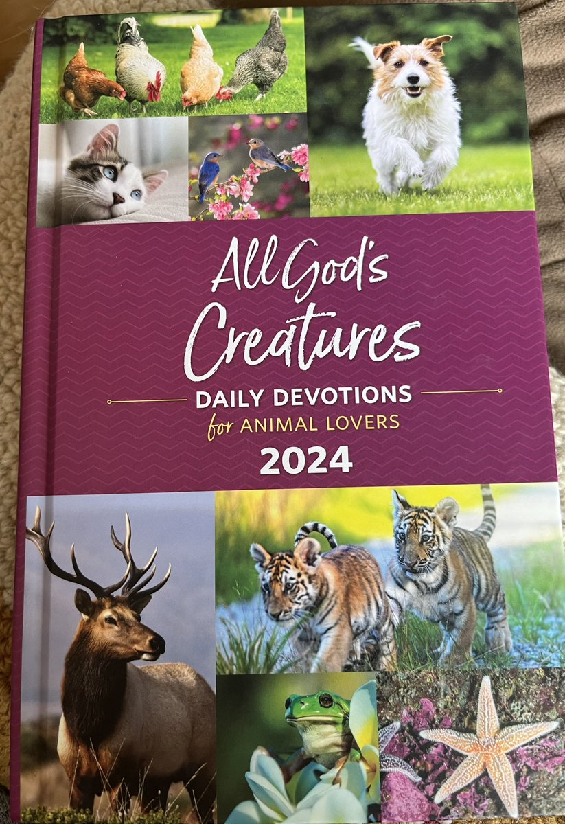 peggyfrezon's tweet photo. I was honored to write All God’s Creatures Daily Devotional’s introduction this year. All the more poignant after just having to say goodbye to Ernest. @MikeFrezon @Guideposts #goldenretriever #dosoftwitter #dogcelebration #grc #seniordog #rescuedog https://t.co/bHy2Clg8nA