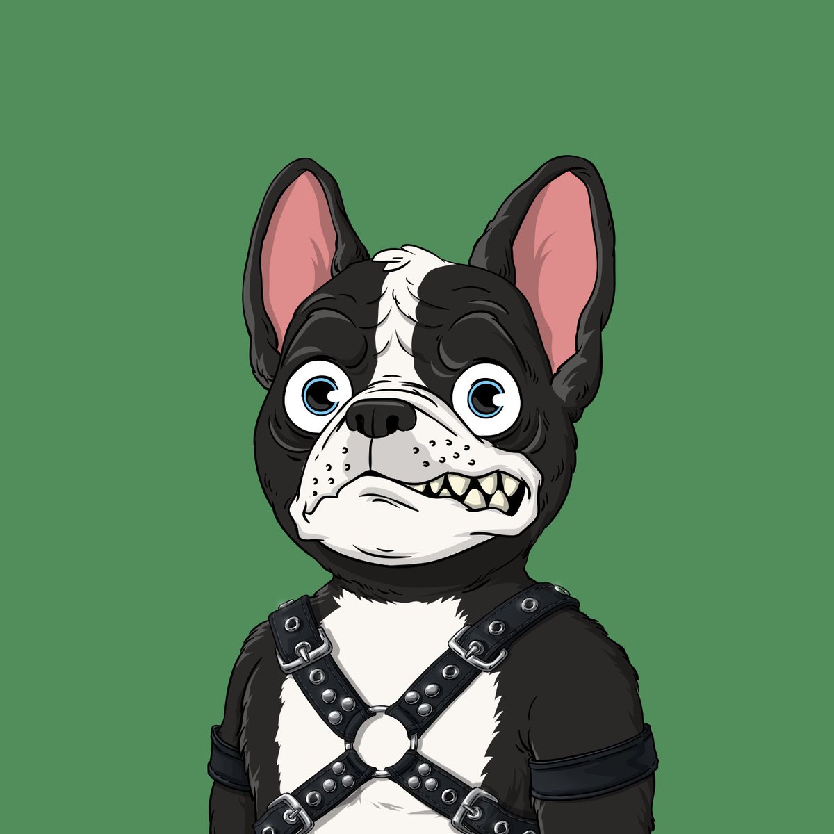 frenchie_nation's tweet photo. Coming soon to the #NFTmarketplace near you. @frenchie_nation collection of prestigious and rare #frenchie #nft. 
Join our whitelist to be among the first to scoop one up cheaply.  
https://t.co/2LdssEFznC

#OpenSeaCollection #NFTCommunity @garyvee #CryptoCommunity #NFTCommunity #NFTGiveaways