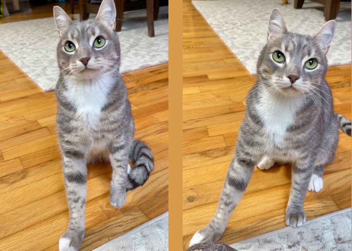 𝘉𝘪𝘭𝘭𝘺 𝘍𝘰𝘹 tweet media