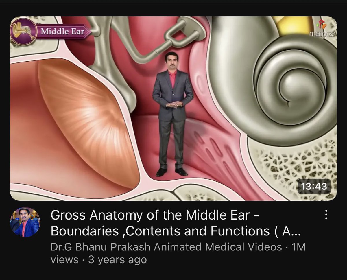 AymanAt21's tweet photo. الراجل واقف بيشرح جوا الmiddle ear عشان المصداقية https://t.co/L9QdwQ1Jll