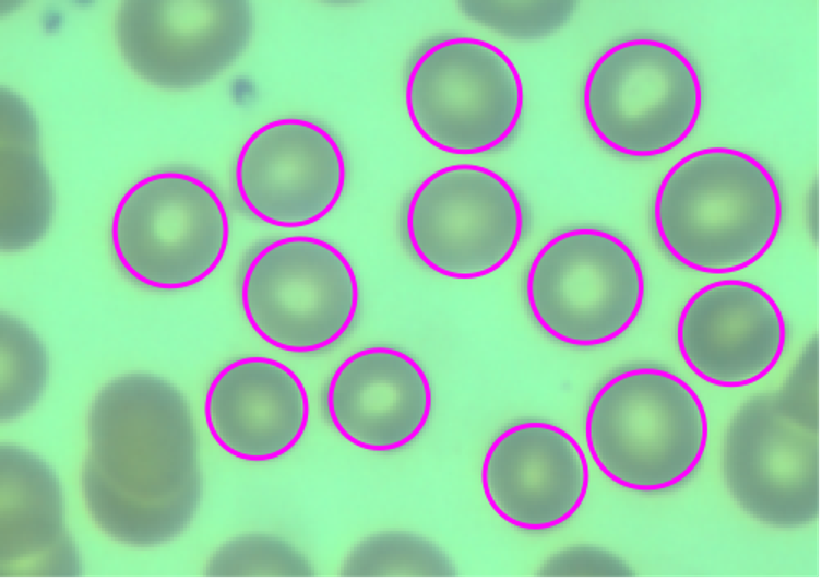 WolframJapan's tweet image. 画像認識や画像解析をしている研究者の皆さん、WolframLanguageの#ComponentMeasurementsを使えば処理がスピードアップしますよ！

この関数は画像中の成分に関する異なる特性を計算できます。ぜひ試してみてください

wolfr.am/1hTZM3ANJ
#画像処理 #Wolfram言語
#ComponentMeasurements