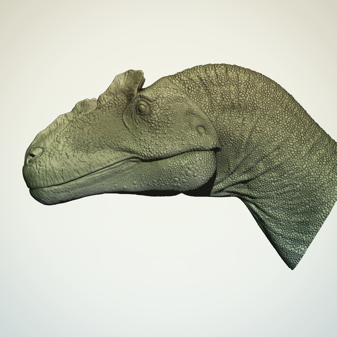daniel_lopper's tweet photo. some shots of a project I started a few months ago, it's an Allosaurus jimmadseni articulated model. Trying to find the ideal amount of meaningful detail retained in 3d print and casting https://t.co/6lJBw2I751